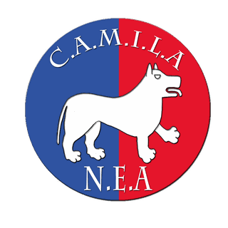 CAMILA-NEA